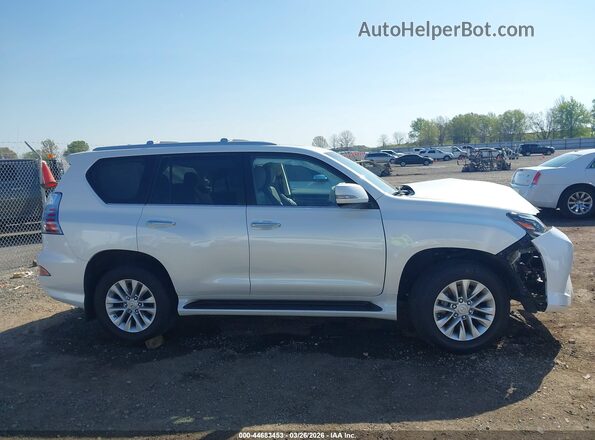 JTJAM7BX6P5366065 2023 LEXUS GX 460 Белый Вид задней части салона