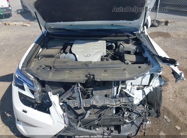 JTJAM7BX6P5366065 2023 LEXUS GX 460 Белый Вид сзади