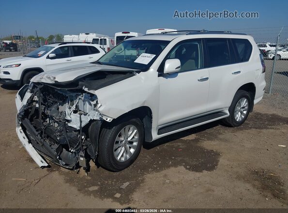 JTJAM7BX6P5366065 2023 LEXUS GX 460 Белый Передняя левая четверть
