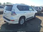 2023 Lexus Gx 460 Premium Белый vin: JTJAM7BX6P5366065