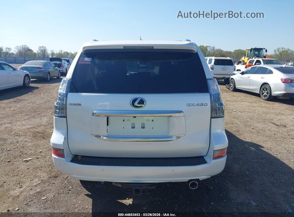JTJAM7BX6P5366065 2023 LEXUS GX 460 Белый 