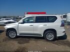 2023 Lexus Gx 460 Premium Белый vin: JTJAM7BX6P5366065