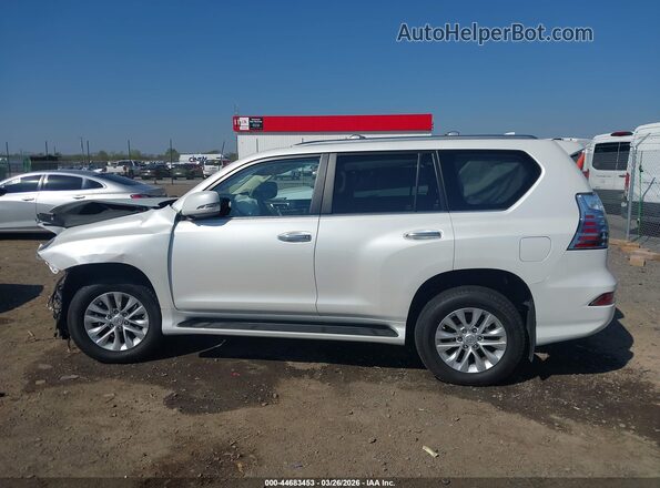 JTJAM7BX6P5366065 2023 LEXUS GX 460 Белый Панорамный вид салона 360°