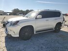 2023 Lexus Gx 460 Base White vin: JTJAM7BX7P5373431