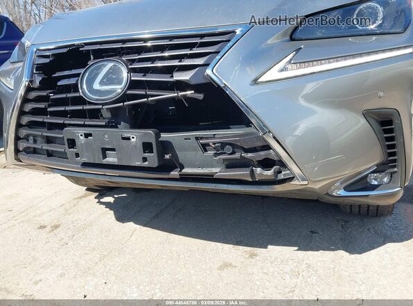 JTJBARBZ0J2154698 2018 LEXUS NX 300 Gray 
