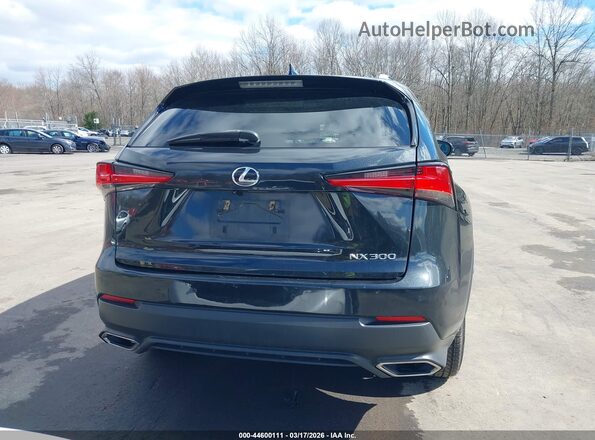 JTJBARBZ1K2217518 2019 LEXUS NX 300 Black 