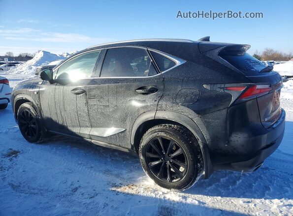 JTJBARBZ3H2097746 2017 LEXUS NX Black Tył lewy