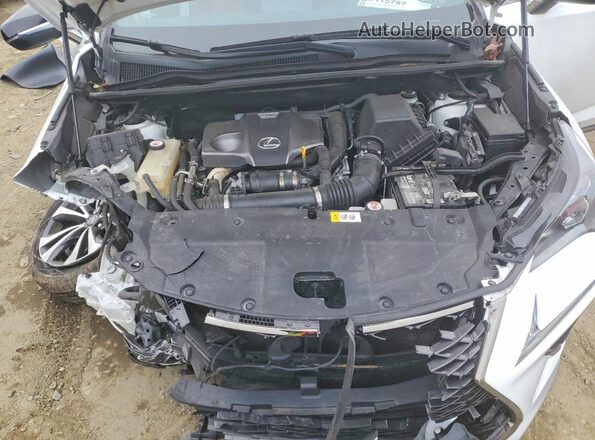JTJBARBZ3J2162181 2018 LEXUS NX Белый Вид подкапотного пространства
