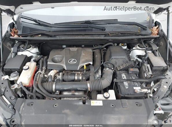 JTJBARBZ3J2170703 2018 LEXUS NX 300 Белый Вид сзади