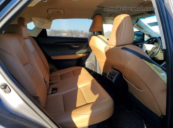 JTJBARBZ5G2063015 2016 LEXUS NX Серый Вид задней части салона