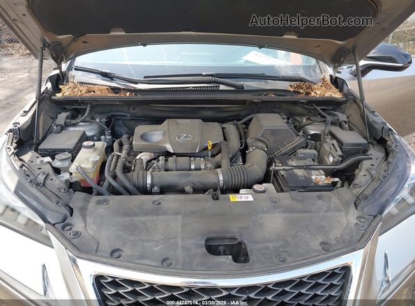 JTJBARBZ6G2089445 2016 LEXUS NX 200T Gray Widok z tyłu