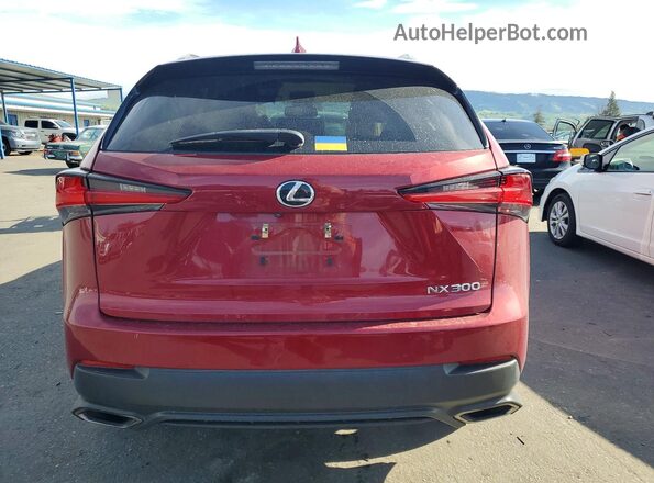 JTJBARBZ7J2174107 2018 LEXUS NX Красный Вид сзади