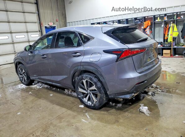 JTJBARBZ8K2217094 2019 LEXUS NX Серый Задняя левая четверть