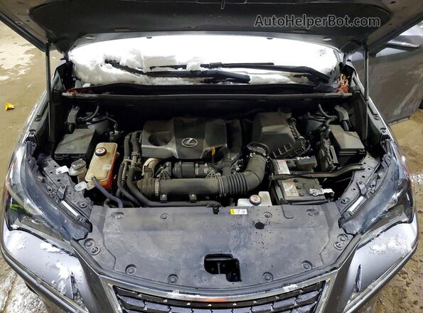 JTJBARBZ8K2217094 2019 LEXUS NX Серый Вид подкапотного пространства