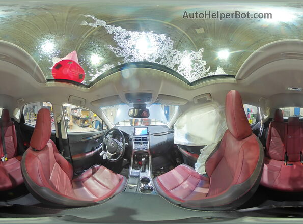 JTJBARBZ8K2217094 2019 LEXUS NX Серый Панорамный вид салона 360°