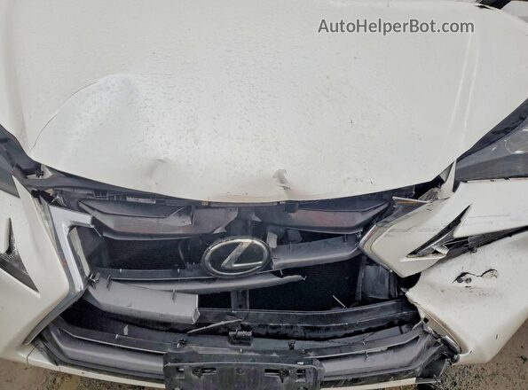 JTJBARBZ9H2132127 2017 LEXUS NX Белый Вид подкапотного пространства