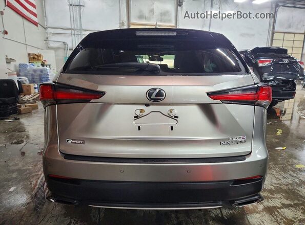 JTJBARBZ9J2171676 2018 LEXUS NX Коричневый Вид сзади