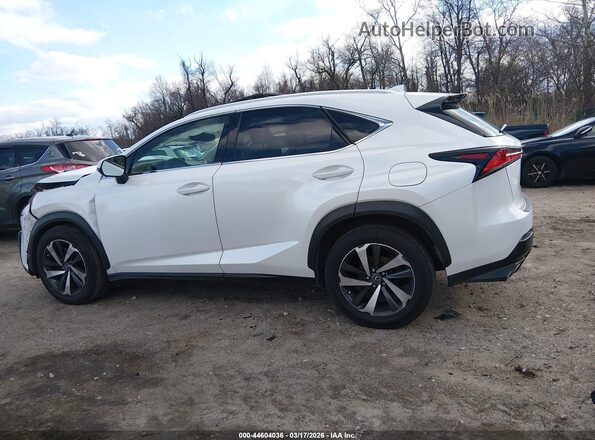 JTJBARBZ9K2207464 2019 LEXUS NX 300 White 