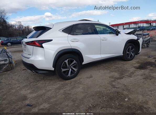 JTJBARBZ9K2207464 2019 LEXUS NX 300 White Trasero derecho