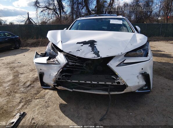 JTJBARBZ9K2207464 2019 LEXUS NX 300 White Vista frontal