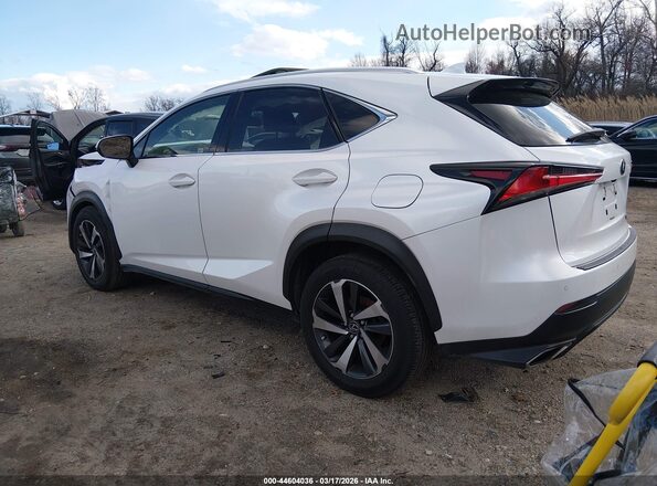 JTJBARBZ9K2207464 2019 LEXUS NX 300 White Trasero izquierdo