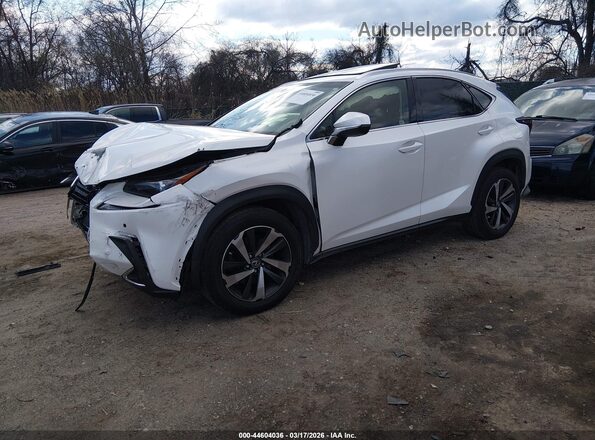 JTJBARBZ9K2207464 2019 LEXUS NX 300 White Vista tres cuartos delantera izquierda