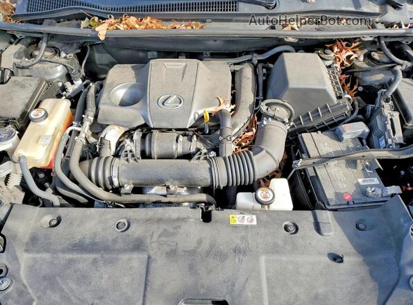 JTJBARBZXK2213810 2019 LEXUS NX Черный Вид подкапотного пространства