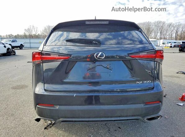 JTJBARBZXK2213810 2019 LEXUS NX Черный Вид сзади