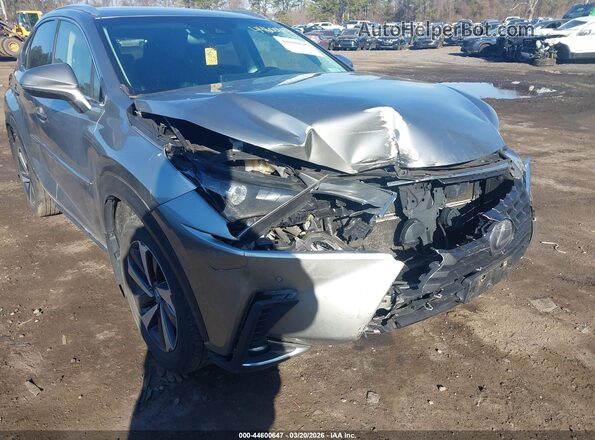 JTJBJRBZXJ2093053 2018 LEXUS NX 300H Silver Vista frontal