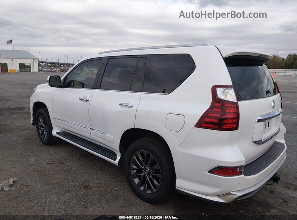JTJBM7FX7J5190522 2018 LEXUS GX 460 Белый Панорамный вид салона 360°