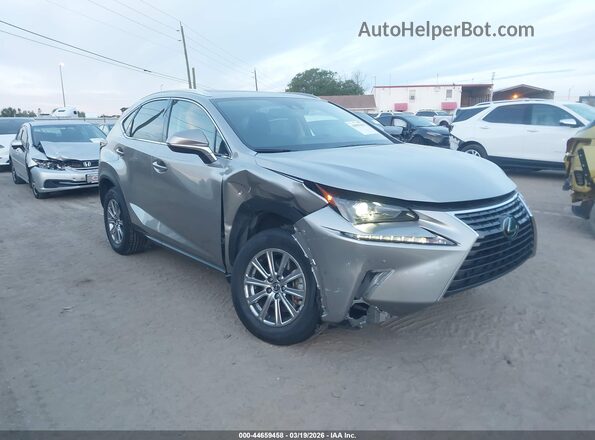JTJDARBZ4L2166588 2020 LEXUS NX 300 Серый Передняя правая четверть