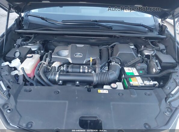 JTJDARBZ4L2166588 2020 LEXUS NX 300 Серый Вид сзади