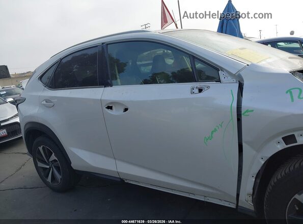 JTJDARBZ6L5003018 2020 LEXUS NX 300 Белый Вид задней части салона