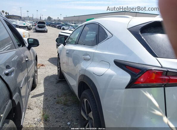 JTJDARBZ6L5003018 2020 LEXUS NX 300 Белый Задняя левая четверть