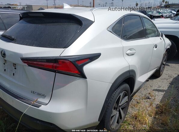 JTJDARBZ6L5003018 2020 LEXUS NX 300 Белый Задняя правая четверть