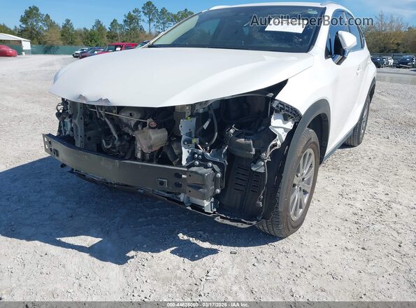 JTJDARBZ6M5028809 2021 LEXUS NX 300 White Front view