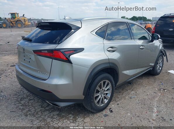 JTJDARBZ8L2171793 2020 LEXUS NX 300 Tan უკანა მარჯვენა