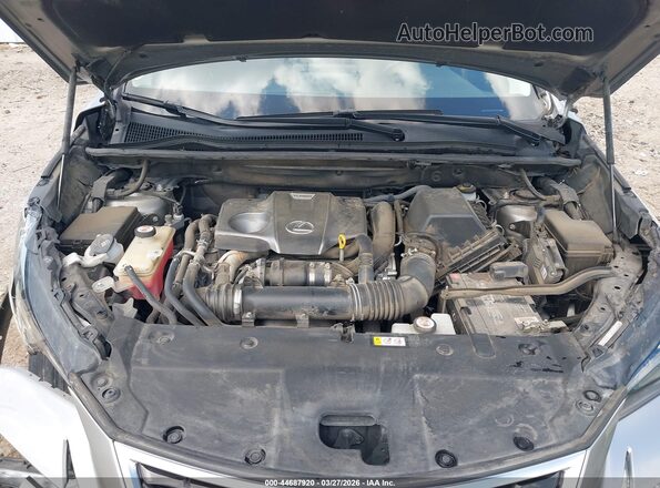 JTJDARBZ8L2171793 2020 LEXUS NX 300 Tan უკანა ხედი