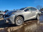 2021 Lexus Nx Gray vin: JTJDARDZ9M2244698