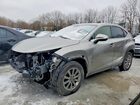 2021 Lexus Nx 300 Base Silver vin: JTJDARDZ9M2259735