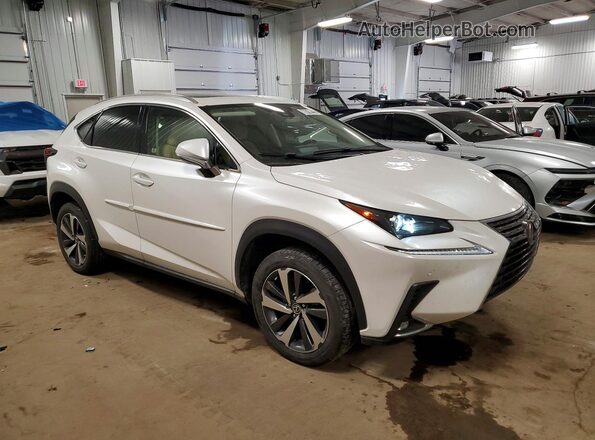 JTJGARDZ0L2218308 2020 LEXUS NX Белый Передняя правая четверть
