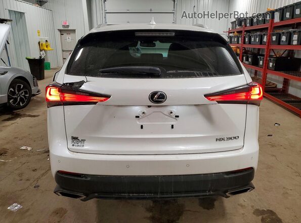 JTJGARDZ0L2218308 2020 LEXUS NX Белый Вид сзади