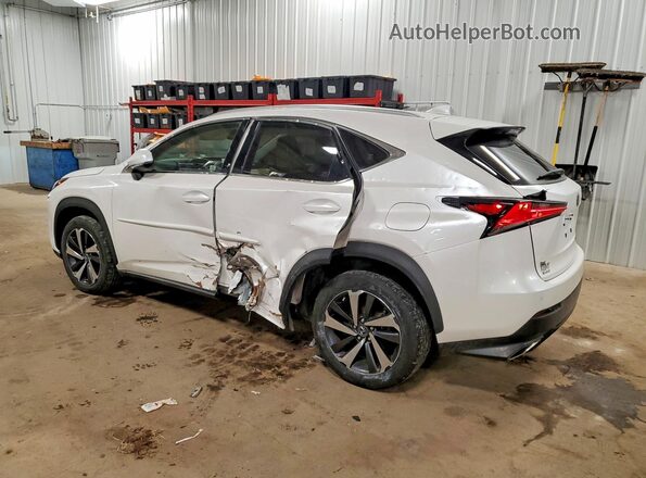 JTJGARDZ0L2218308 2020 LEXUS NX Белый Задняя левая четверть