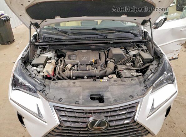 JTJGARDZ0L2218308 2020 LEXUS NX Белый Вид подкапотного пространства