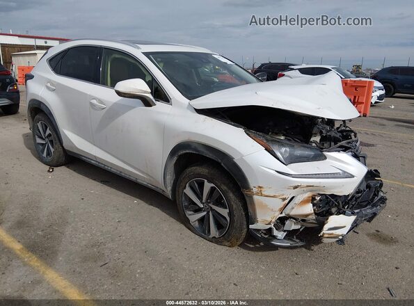 JTJGARDZ1M5024581 2021 LEXUS NX 300 White Front right