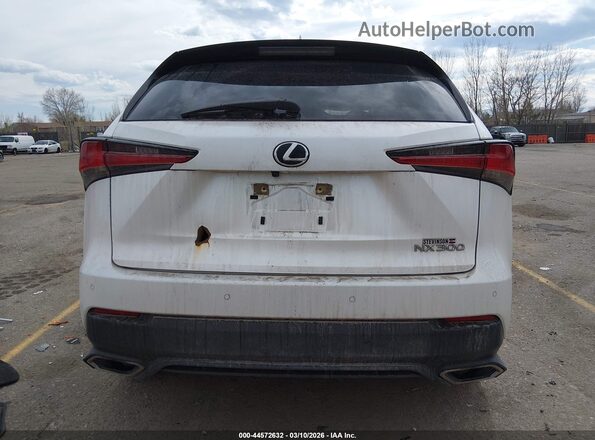JTJGARDZ1M5024581 2021 LEXUS NX 300 White 