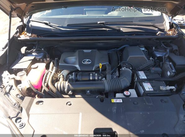 JTJGARDZ2L2220643 2020 LEXUS NX 300 Gray Widok z tyłu