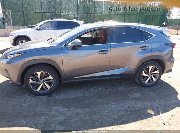 JTJGARDZ2L2220643 2020 LEXUS NX 300 Gray Widok wnętrza 360 stopni