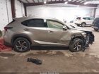 2020 Lexus Nx 300   Серый vin: JTJGARDZ5L2224069