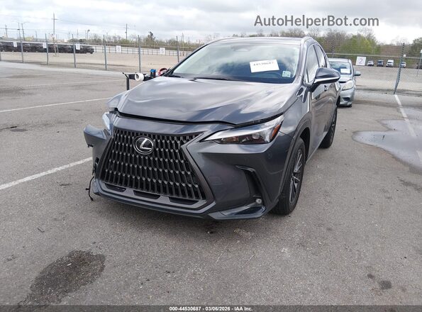 JTJGDCAZ8N5005083 2022 LEXUS NX 250 Gray Vista tres cuartos delantera izquierda